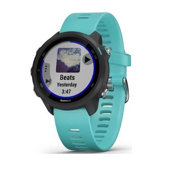 Спортивные наручные часы Garmin Forerunner 245 Music Gps Wi-Fi Eu/Pac