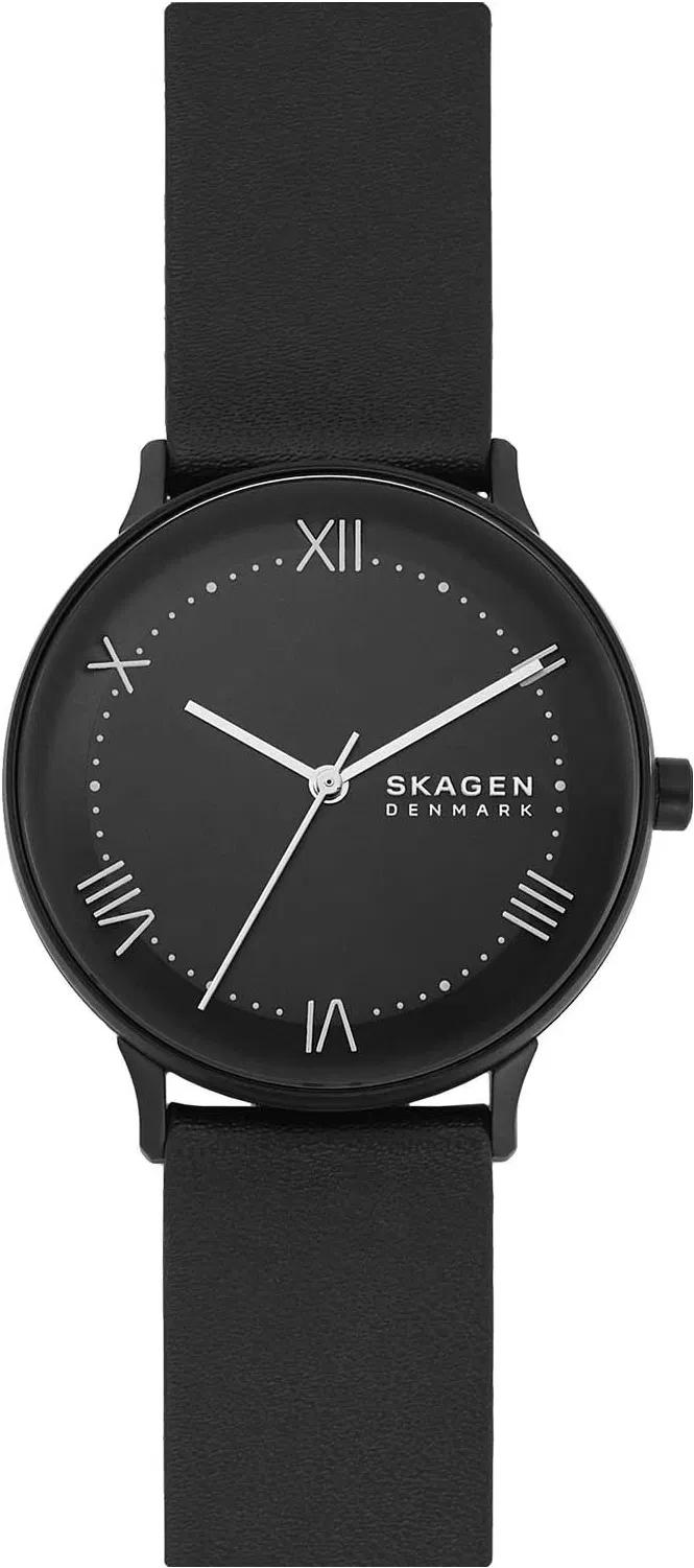 Наручные часы мужские Skagen SKW6623