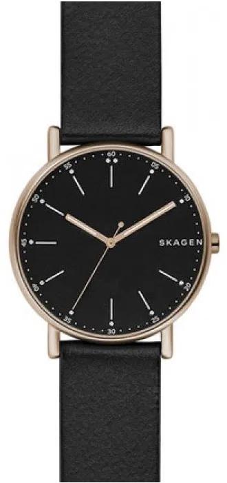 фото Наручные часы мужские skagen skw6401