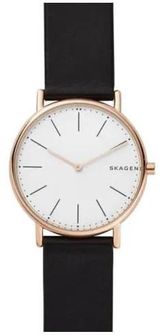 Наручные часы мужские Skagen SKW6430