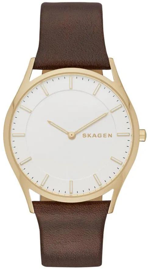 фото Наручные часы мужские skagen skw6225