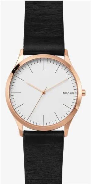 Наручные часы мужские Skagen SKW1102