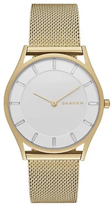 фото Наручные часы женские skagen skw2377