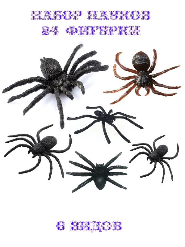 Фигурки COSY Паук черные, коричневые 6 видов набор 24 шт тетрадь 24 листа 5 видов микс клетка тиснение человек паук