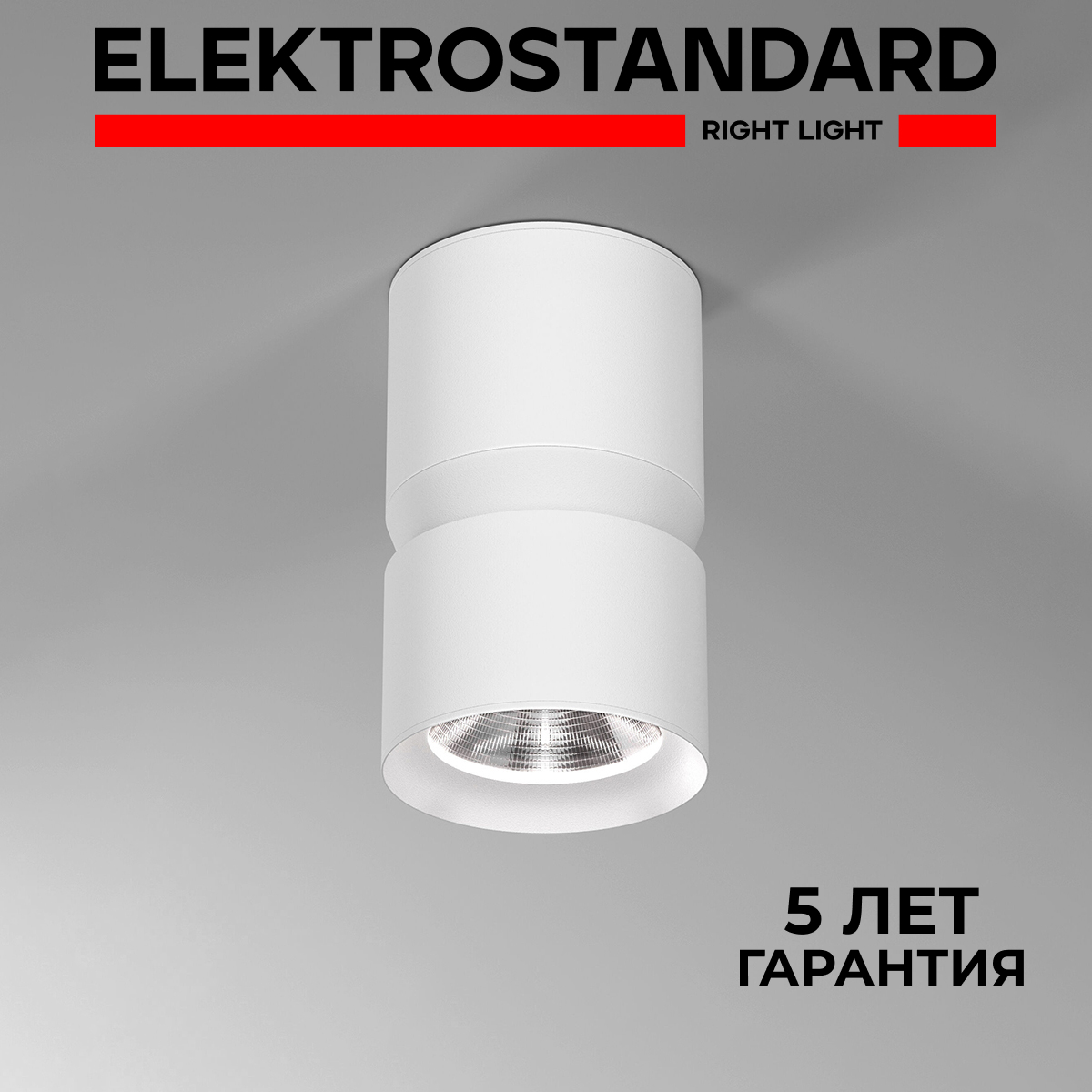 

Светильник потолочный светодиодный Elektrostandard Kayo 25049/LED 12W 4000К белый