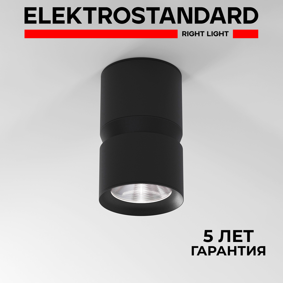 

Светильник потолочный светодиодный Elektrostandard Kayo 25049/LED 12W 4000К чёрный