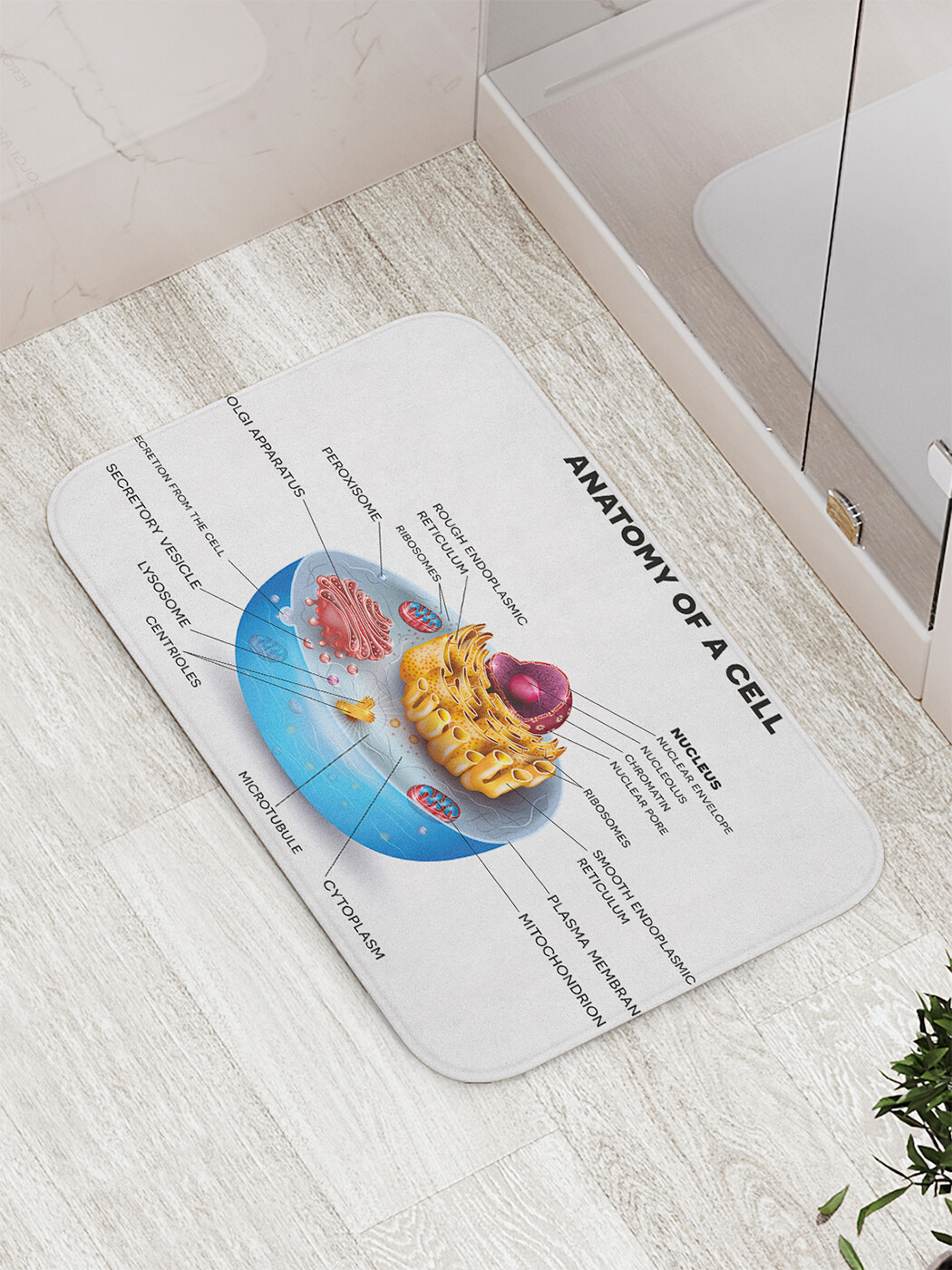 

Коврик противоскользящий JoyArty "Анатомия клетки" для ванной, сауны, бассейна, 77х52 см, Анатомия клетки