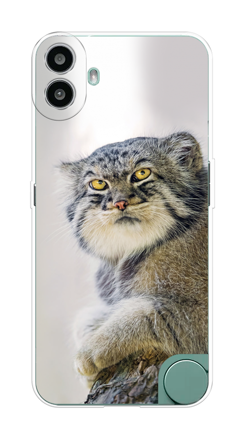 

Чехол на CMF Phone 1 "Кот манул 1", Серый;белый;желтый, 3300450-1