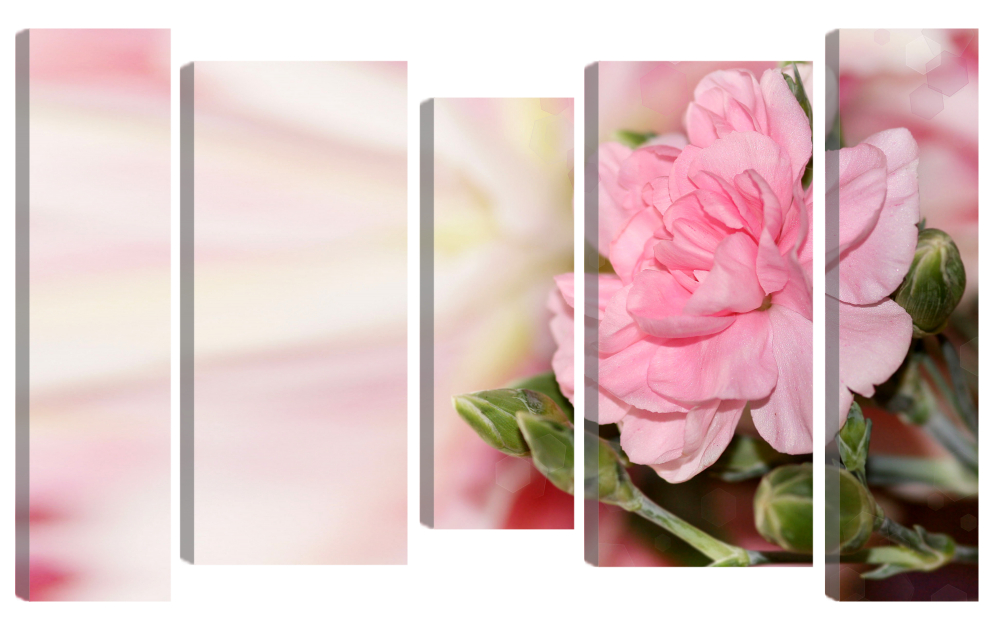 

Большая модульная картина ы. Camellia Closeup Pink. PR-1349 182x100см
