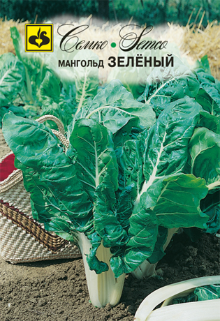 

Семена мангольд Зеленый Семко 5429247