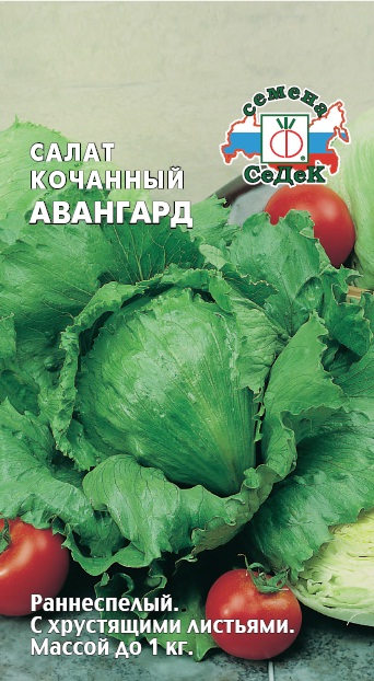

Семена салат Авангард СеДеК УТ-00002366 1 уп.
