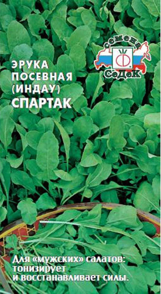 

Семена рукола Спартак СеДеК 8007 1 уп.