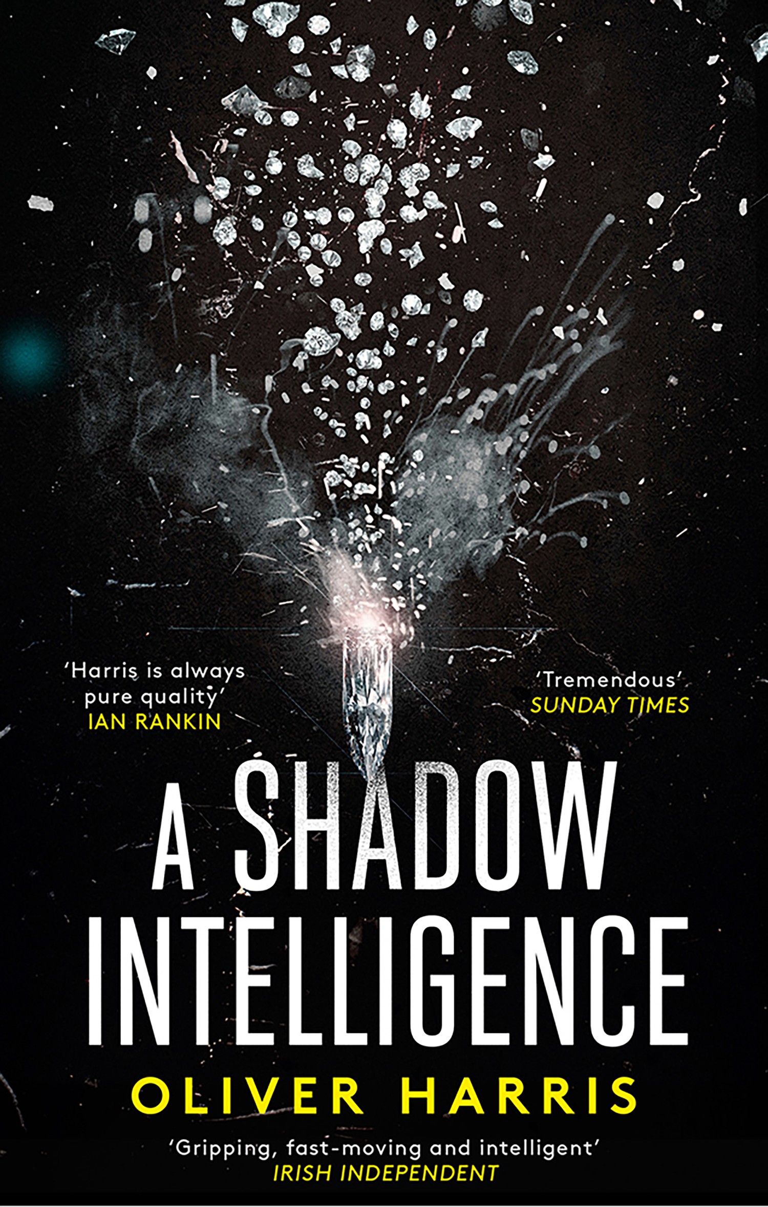 

A Shadow Intelligence