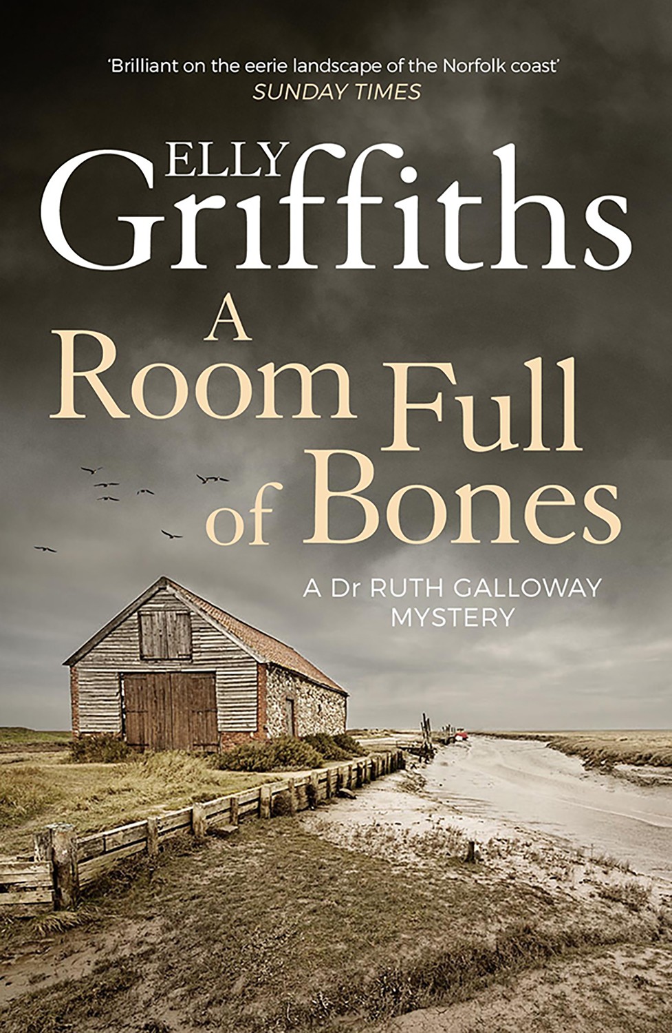 

A Room Full of Bones