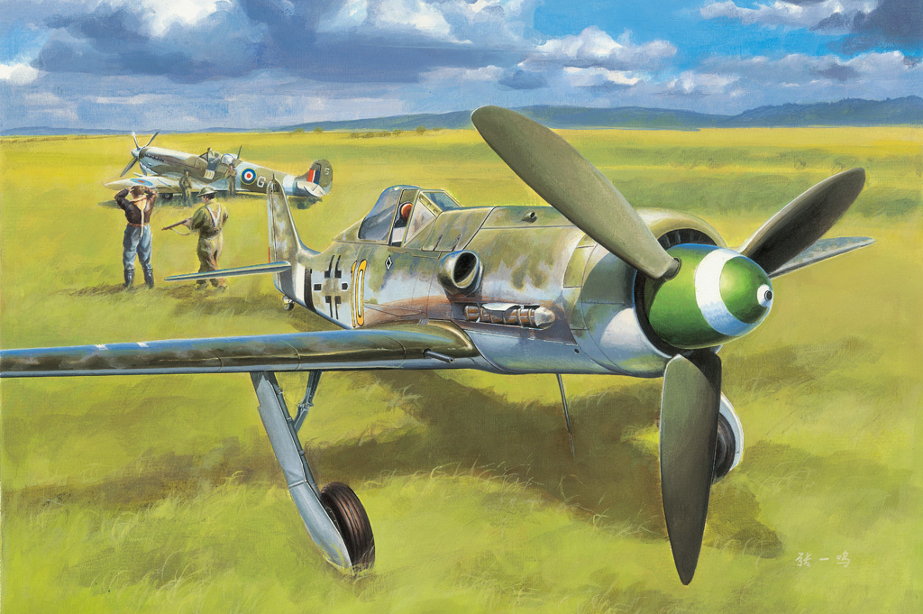 

Сборная модель HobbyBoss 1/48 Focke-Wulf FW190D-13 81721