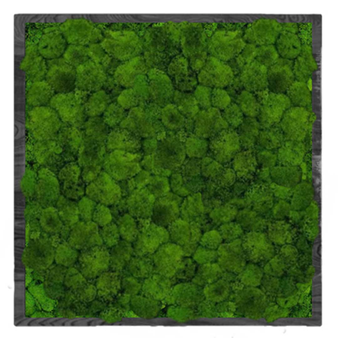 фото Панно 90х90см для интерьера gardengo из натурального стабилизированного мха зеленого цвета