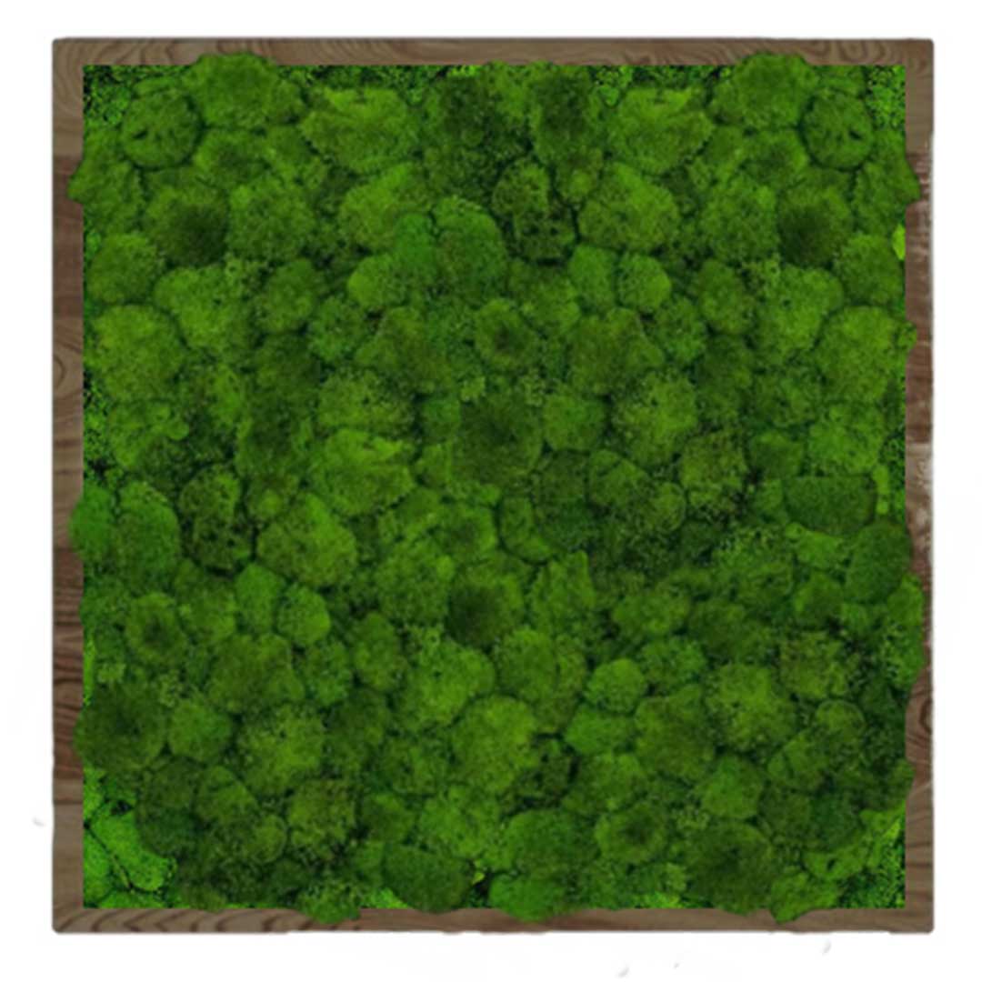 

Панно 50х50см для интерьера GardenGo из натурального стабилизированного мха зеленого цвета, 7