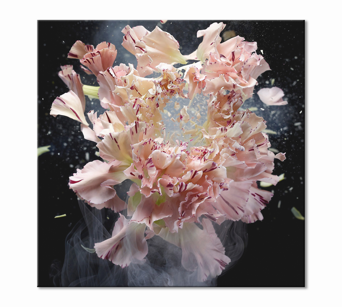 

Картина интерьерная на синтетическом холсте Poly Print Art ZK01001814/S/1 40х40 см