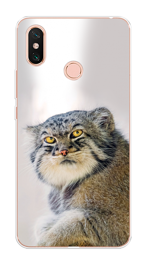 

Чехол на Xiaomi Mi Max 3 "Кот манул 1", Серый;белый;желтый, 34350-1