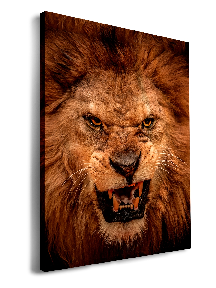 

Картина DRABS Лев