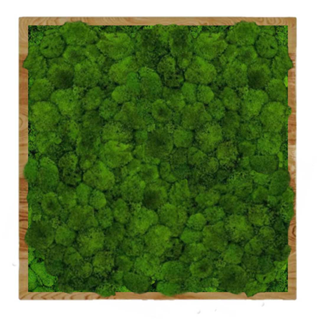 

Панно 50х50см для интерьера GardenGo из натурального стабилизированного мха зеленого цвета, 7