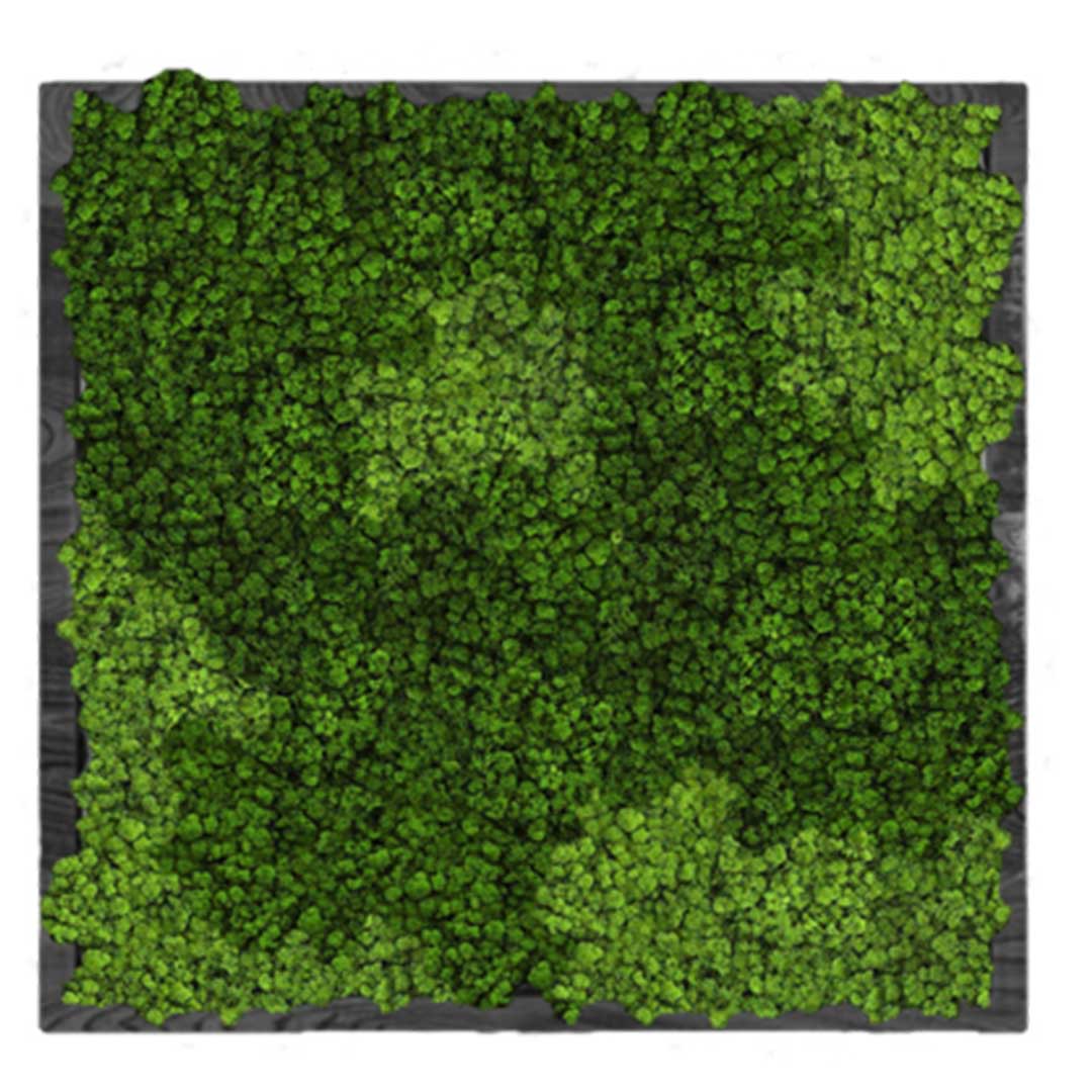 

Панно 120х120см для интерьера GardenGo из натурального стабилизированного мха, 4