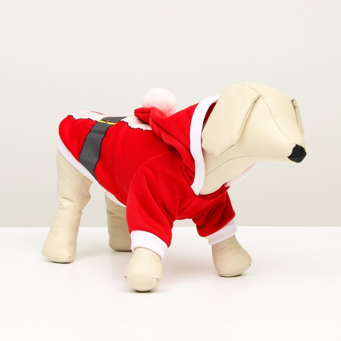 

Толстовка Santa, M (ДС 25, ОГ 37 см)