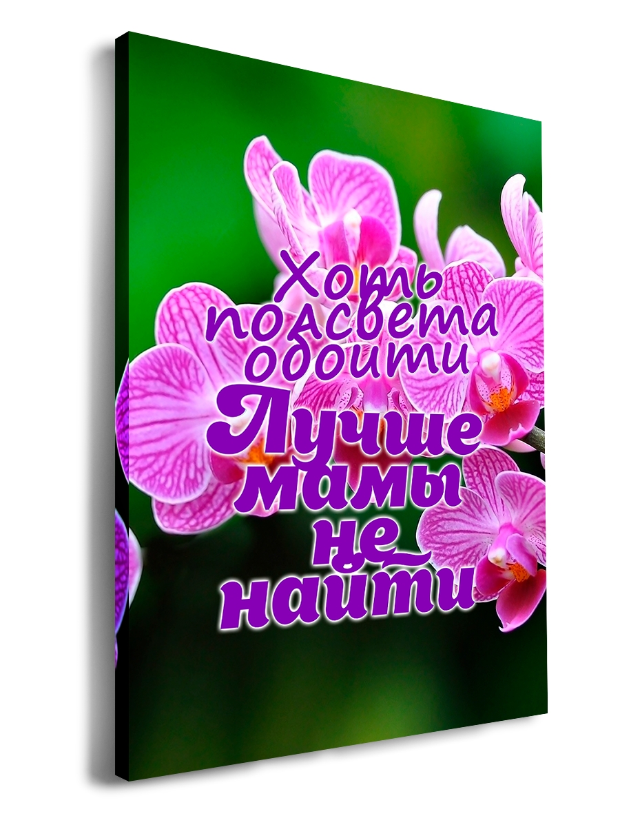 

Картина DRABS Лучше мамы не найти