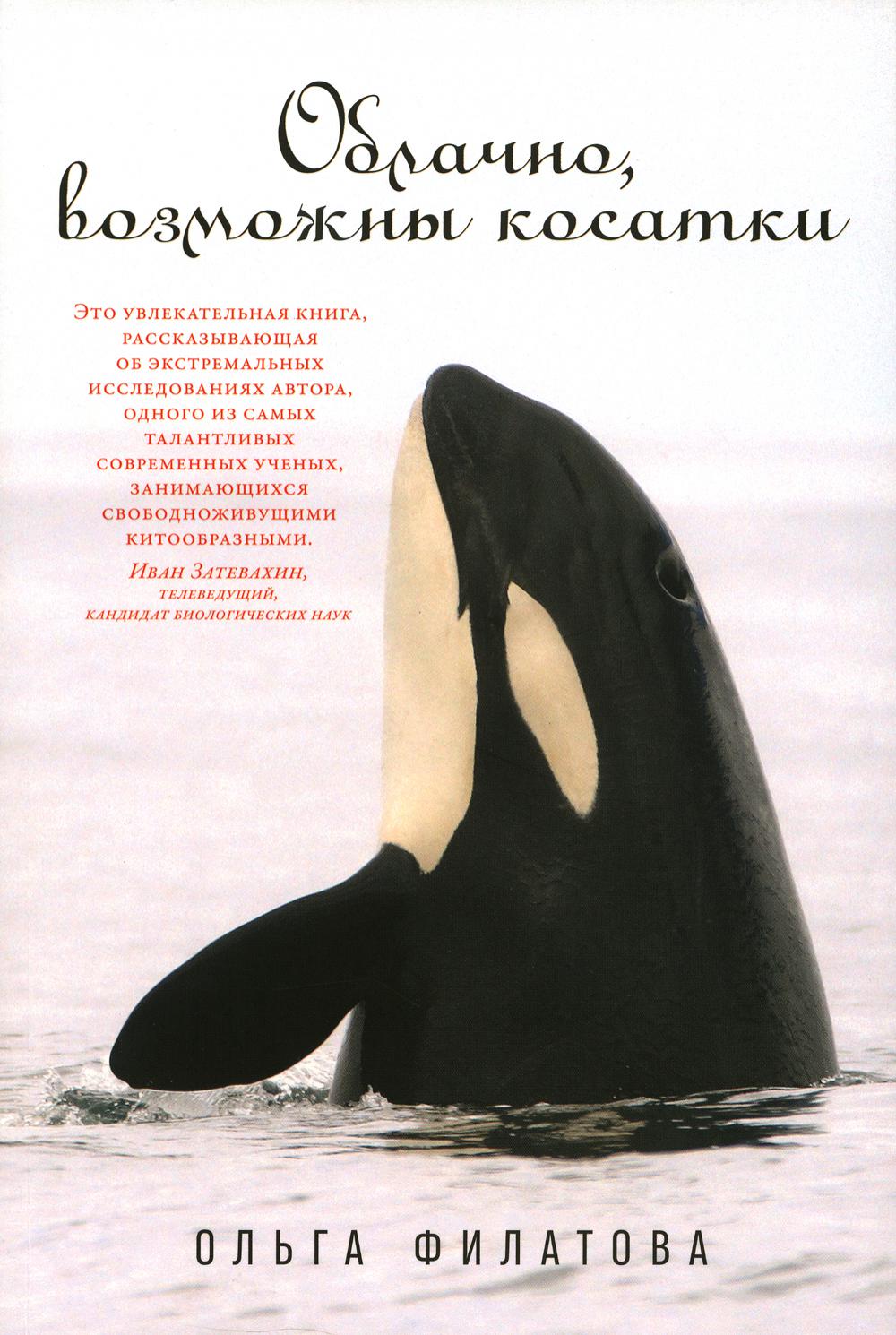 

Облачно, возможны косатки
