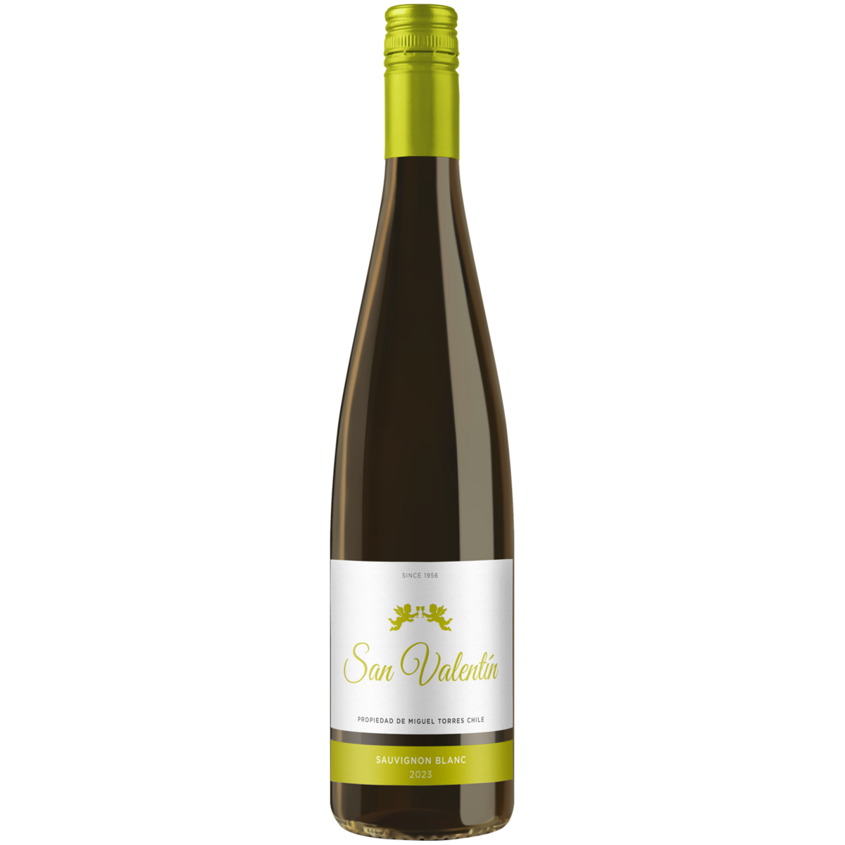 

Вино Torres San Valentin Sauvignon Blanc белое полусухое 0,75 л