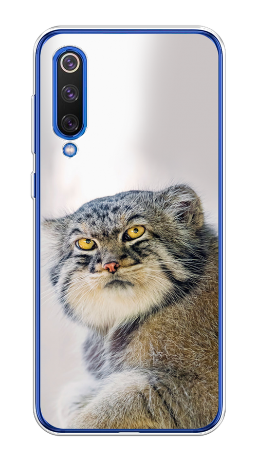 

Чехол на Xiaomi Mi9 SE "Кот манул 1", Серый;белый;желтый, 35250-1