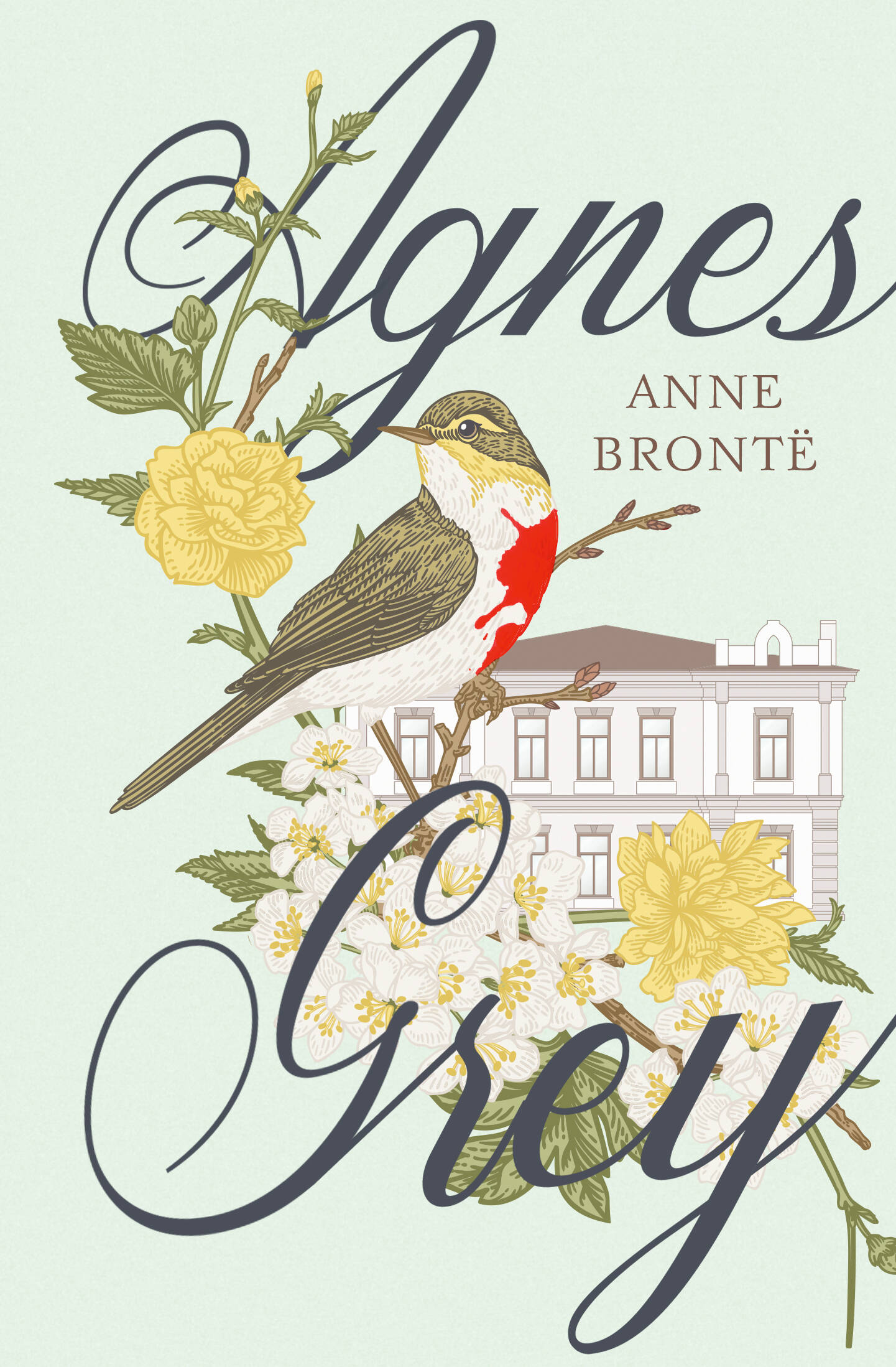 

Agnes Grey, Exclusive Classics Hardcover