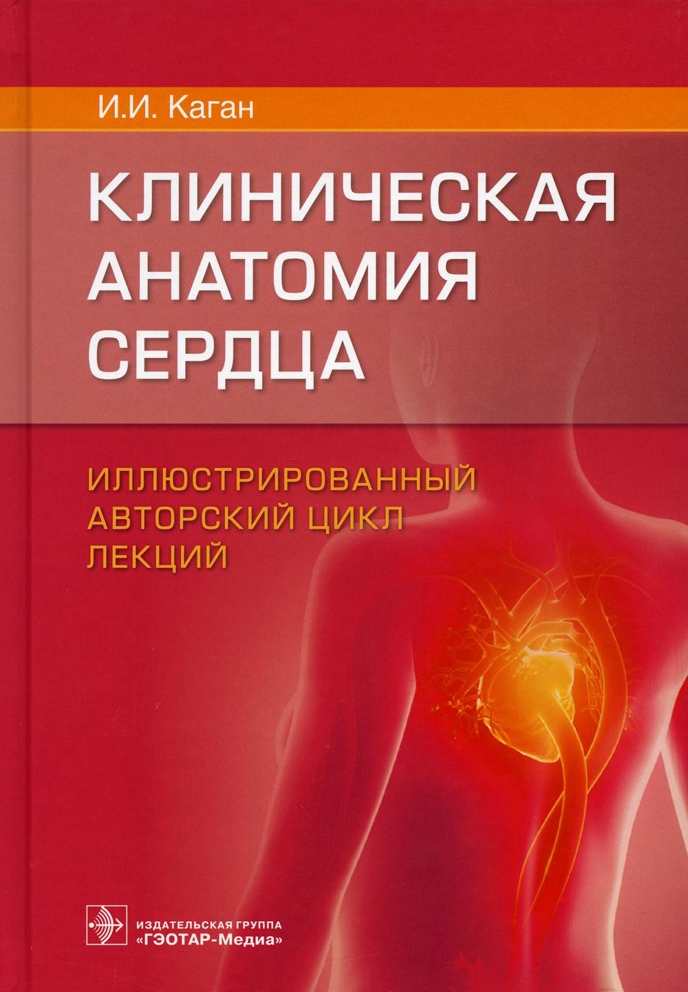 

Клиническая анатомия сердца