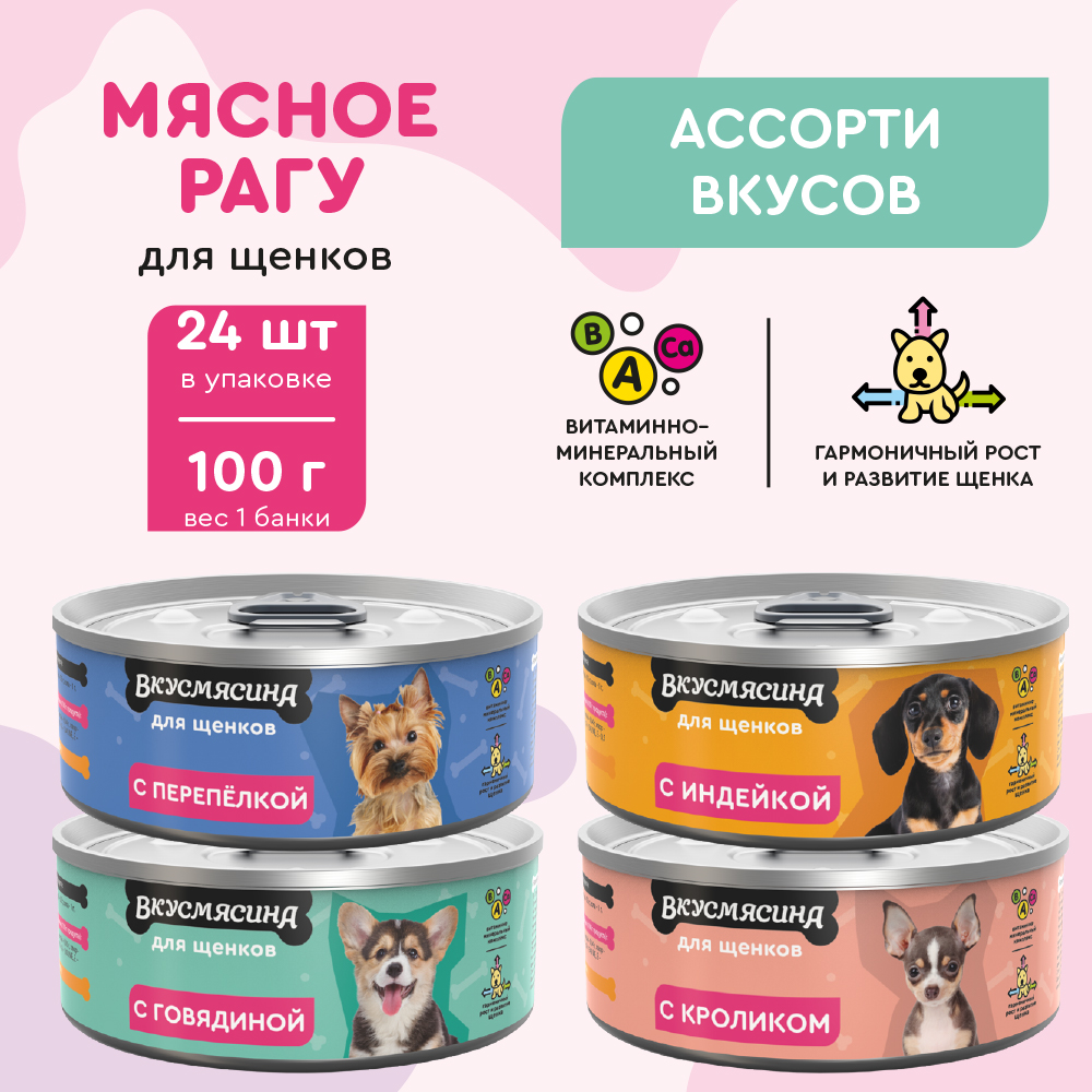 Консервы для собак Вкусмясина МИКС из 4 вкусов 24 шт по 100 г 2040₽