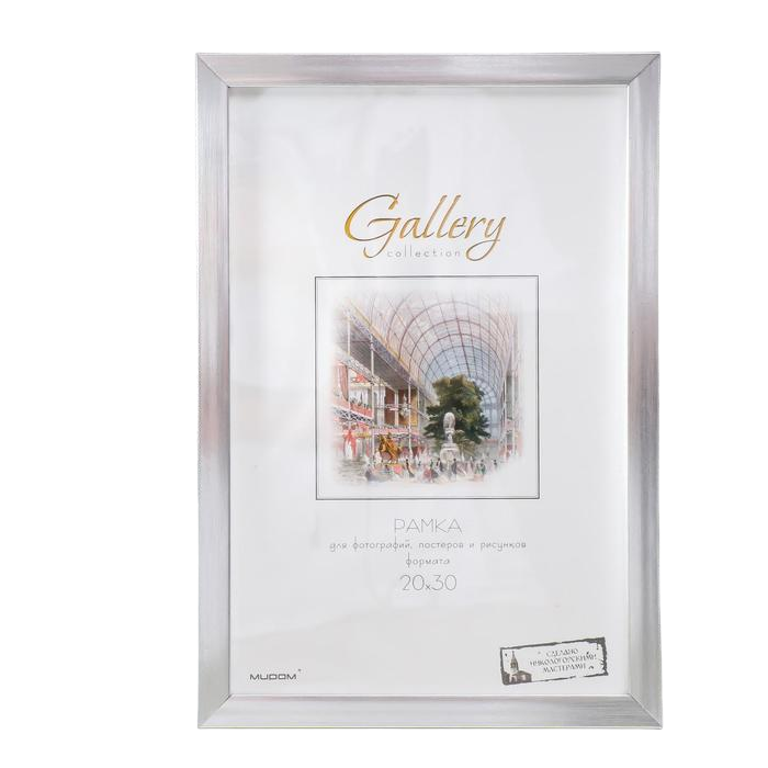 

Фоторамка пластик Gallery 20х30 см, 641822-8, серебро (пластиковый экран), Серебристый, Строгий стиль