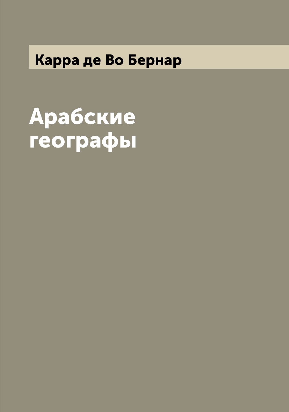 

Книга Арабские географы
