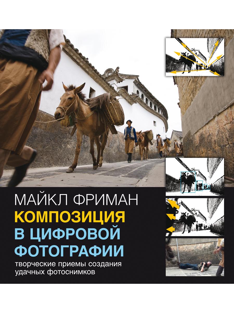 

Книга Композиция в цифровой фотографии. Творческие приемы создания удачных фотоснимков