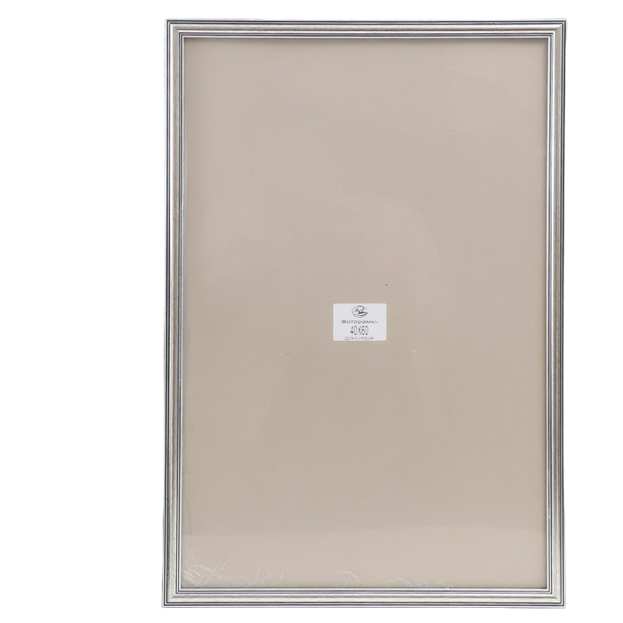 

Фоторамка пластик 40х60 см, (пластиковый экран) 20152-70019-40-60, Серебристый, Арт-объект