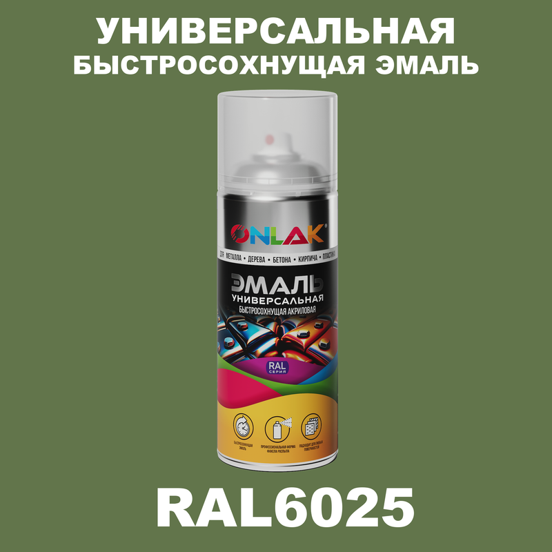

Эмаль акриловая ONLAK RAL 6025 полуматовая, Зеленый, RAL-AER400-SPREY