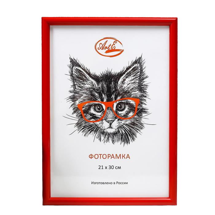 

Фоторамка пластик 21х30 см, красный (пластиковый экран), Арт-объект