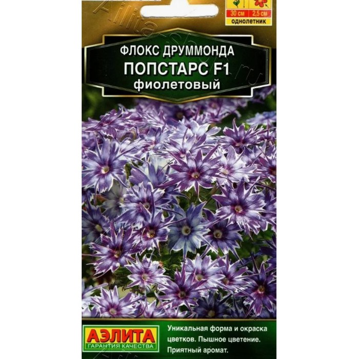 

Семена Цветов Флокс друммонда Попстарс Агрофирма Аэлита F1 фиолетовый 5 шт