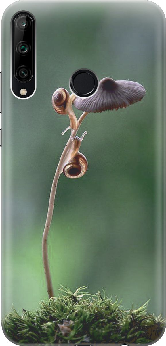 

Чехол на Honor 9C/Huawei P40 Lite E "Две улитки", Зеленый;коричневый, 6412