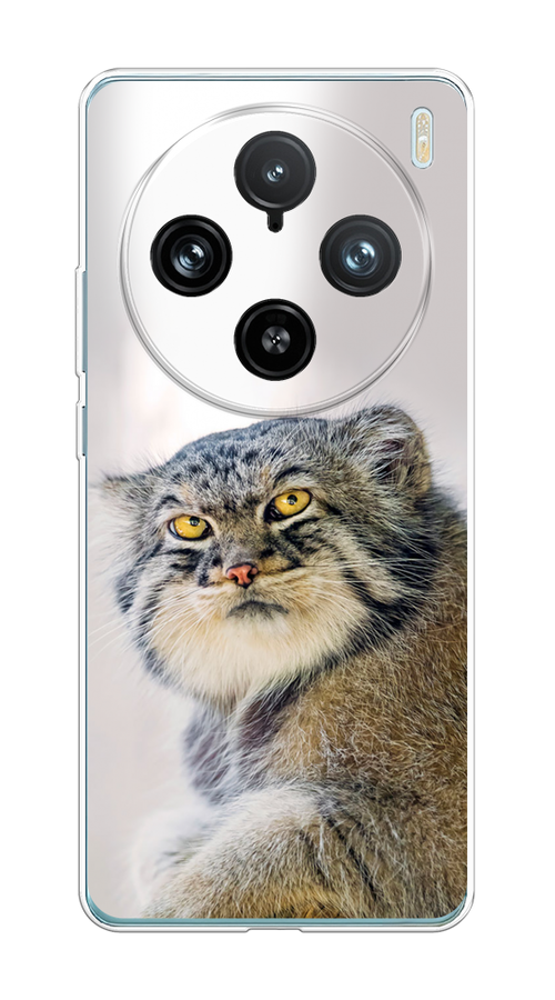 

Чехол на Vivo X100 Pro "Кот манул 1", Серый;белый;желтый, 2611850-1