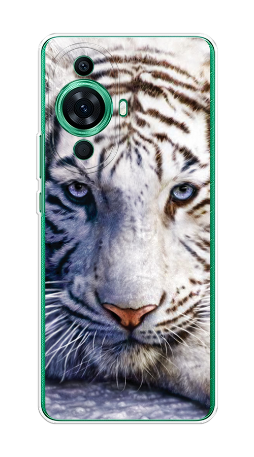 

Чехол на Huawei Nova 11 Pro "Бенгальский тигр", Коричневый;белый, 6121350-1