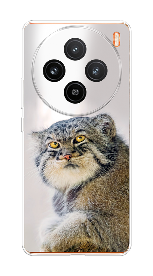 

Чехол на Vivo X100 "Кот манул 1", Серый;белый;желтый, 2611750-1
