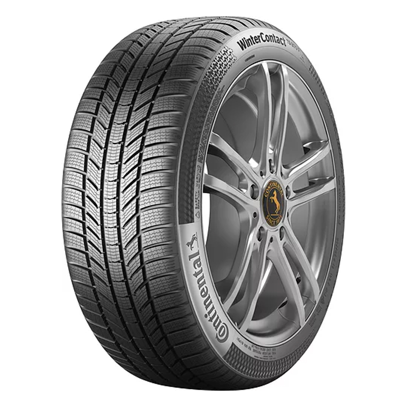 

Continental ContiWinterContact TS 870 P, ContiWinterContact TS 870 P