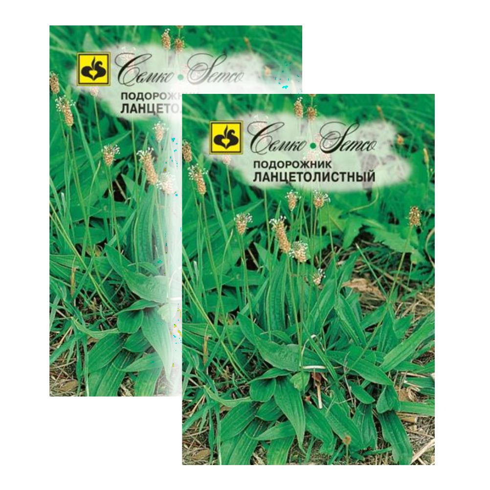 Комплект семена подорожник Ланцетолистный Семко Многолетние 23-01150 2 упаковки