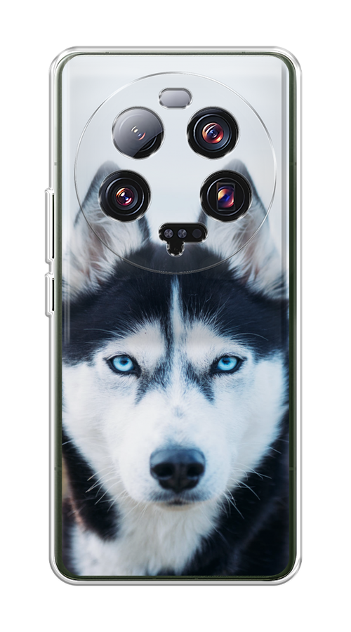 

Чехол на Xiaomi 13 ultra "Хаски 2", Синий;белый, 318650-1