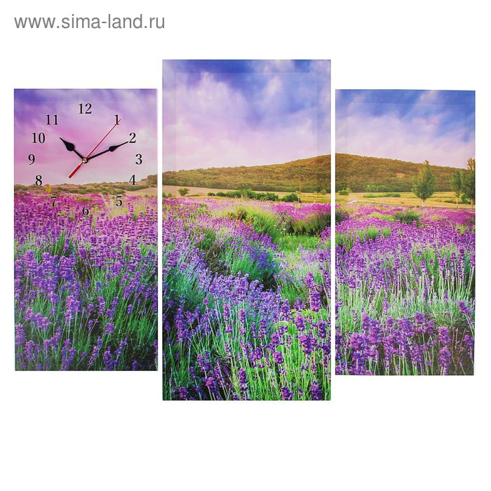 фото Часы настенные модульные цветочное поле, 60 × 80 см сюжет