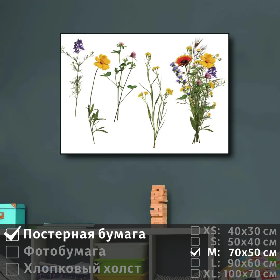 

Постер на стену ПолиЦентр Коллаж из полевых цветов 70х50 см, КоллажИзПолевыхЦветов